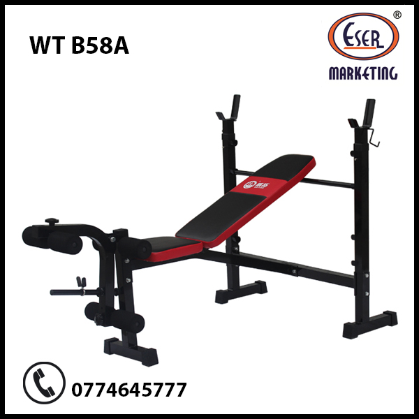 Weight Bench WT B A Eser Marketing Fitness Pvt Ltd 2450