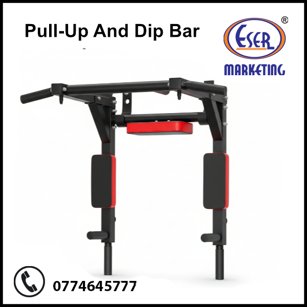 Pull-Up And Dip Bar